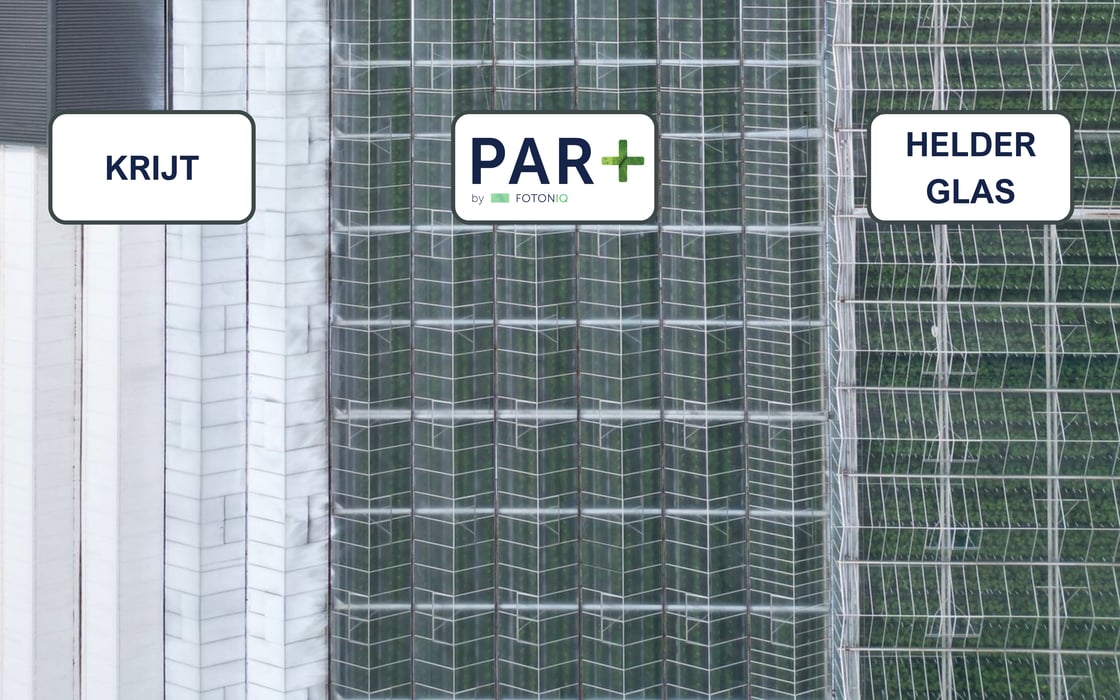 Comparison - KRIJT PAR+ IMPROVED